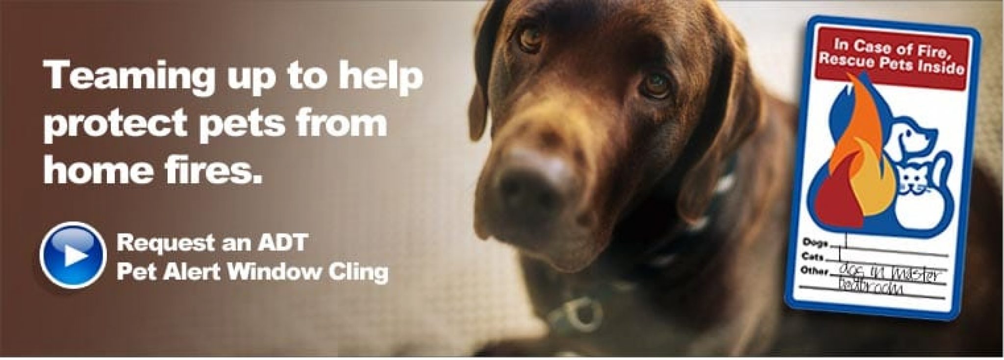 FREE Pet Alert Window Cling from ADT Do it for Your Pets!