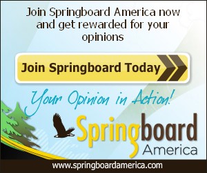 Springboard America: Take Surveys, Earn Money + Enter the $1000 Sweepstakes