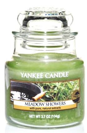 Yankee Candle Coupon: $5 Small Jar Candles (reg. $10.99)- Today Only!