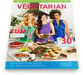 Free Vegetarian Recipes Starter Guide