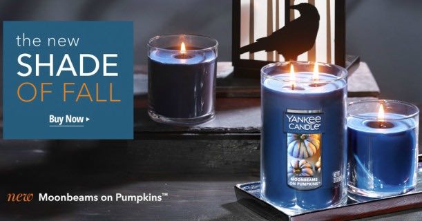 B2G2 Free Yankee Candles With Printable Coupon!