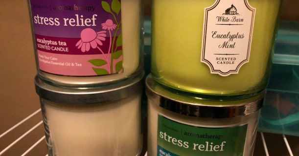 Annual Candle Day! ALL 3-Wick Candles Just $8.95/Each!!!