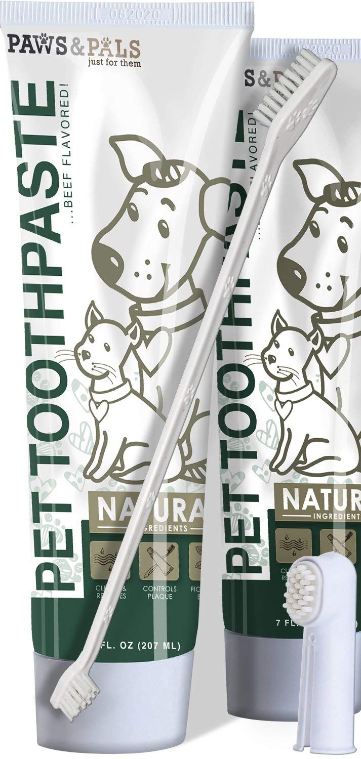Dog Toothbrush and Toothpaste for Dogs Teeth Cleaning (Pack of 2) $11.90 (REG $34.95)