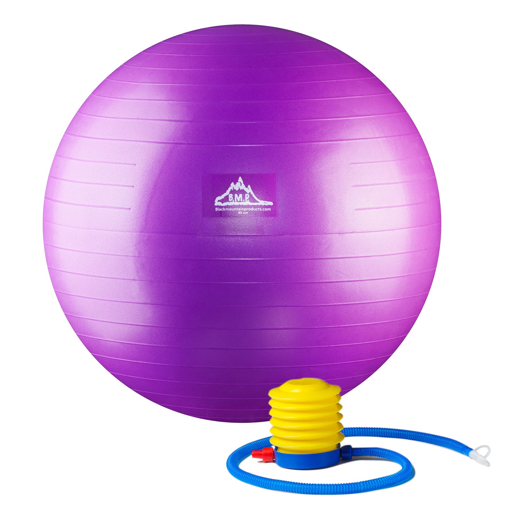 Black Mountain Products Professional Grade Stability Ball -$9.19(49% Off)